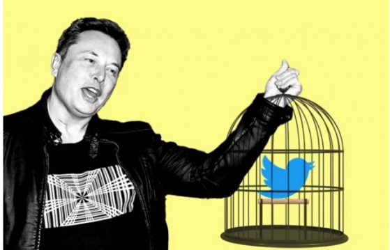 Elon Musk thâu tóm Twitter, EU cảnh báo ‘con chim phải bay theo luật của chúng tôi’