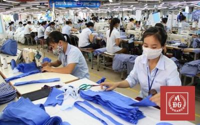 May Đức Giang chốt quyền chia cổ tức tỷ lệ 15%
