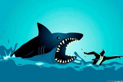 Theo dấu dòng tiền cá mập 25/10: Tự doanh và khối ngoại bán ròng gần 1 ngàn tỷ đồng