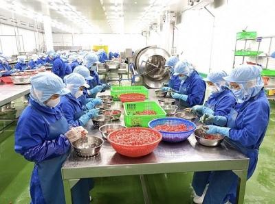 Trông chờ đàm phán, doanh nghiệp Việt chủ động chuẩn bị phương án ứng phó thuế quan