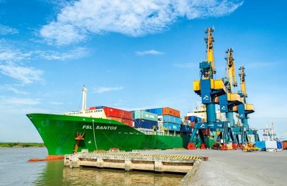 Vận tải và Xếp dỡ Hải An (HAH) đạt đỉnh lợi nhuận mới, mang về hơn nghìn tỷ trong năm 2022