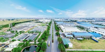 ITA nhận “án” hủy niêm yết bắt buộc
