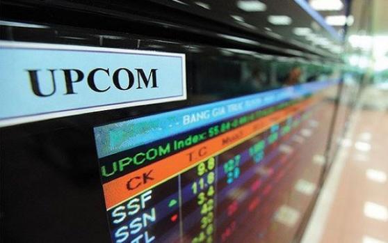 Đình chỉ giao dịch cổ phiếu DN không công bố báo cáo tài chính 3 năm