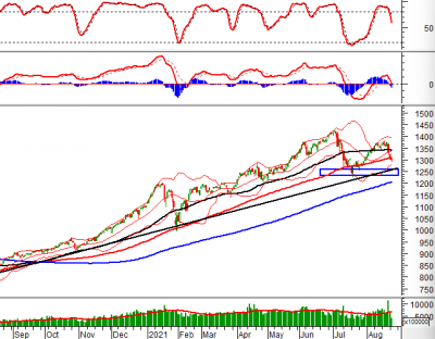 Phân tích kỹ thuật phiên chiều 24/08: Đà giảm chưa kết thúc