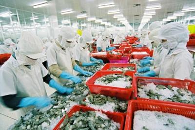 Nghẽn vốn, doanh nghiệp mong muốn gì?