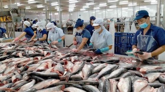 Ngành thủy sản lập kỷ lục xuất khẩu 11 tỷ USD năm 2022