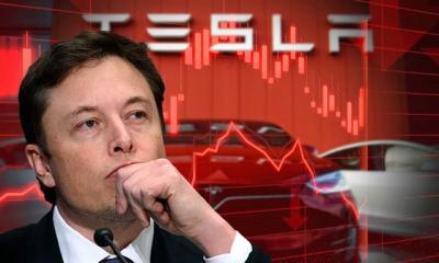 Elon Musk đón “tin buồn” từ Tesla, hứa sẽ giảm đáng kể thời gian tại Nhà Trắng