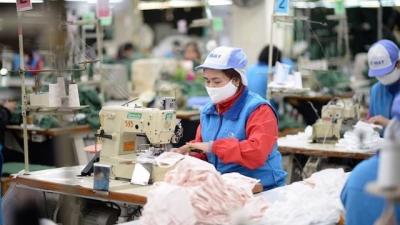 ADB: Khoảng 90% số lao động Việt Nam bị mất việc đã ngừng tìm việc làm mới