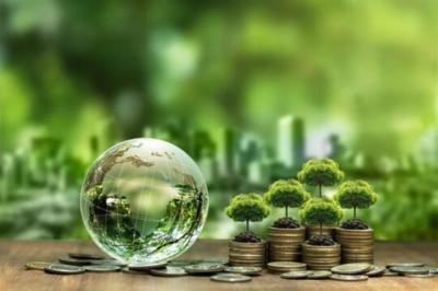 Cần nghiên cứu công nhận tài sản số và tín chỉ carbon là tài sản bảo đảm