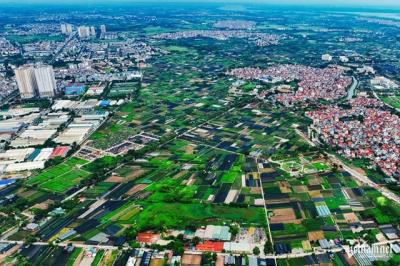 Tiền đất bổ sung: Lỗi không do doanh nghiệp, nhưng lại phải chịu trận?