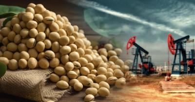 Thị trường dầu phục hồi, nhóm nông sản ‘đua nhau’ giảm giá