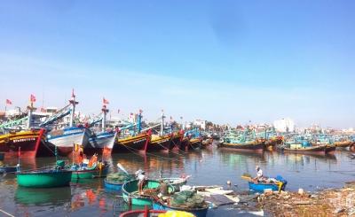 Nếu Việt Nam bị 'thẻ đỏ' IUU, xuất khẩu hải sản hết đường sang EU