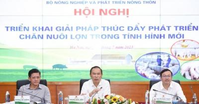 Thứ trưởng: 'Ngày nào cũng thịt heo luộc với kho tàu thì làm sao ăn hết được”