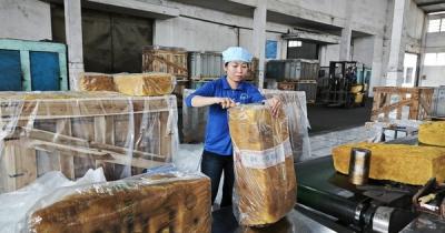 Kế hoạch lớn của ngành cao su