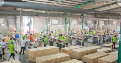 Xuất khẩu 10 tỉ USD, vì sao doanh nghiệp gỗ Việt vẫn 'vô danh' tại nước ngoài ?