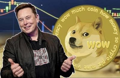 Thị trường tiền ảo tuần qua: Dogecoin tăng 46% sau khi Elon Musk hoàn tất thương vụ Twitter