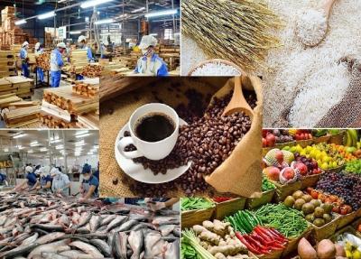 Ấn tượng Việt Nam: Từ quốc gia thiếu đói đến cường quốc nông sản