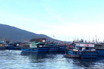 Dừng hoạt động cảng cá lớn nhất miền Trung 7 ngày để chống dịch