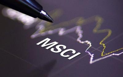 Loại HNG, thêm VSH vào rổ chỉ số MSCI Frontier Markets Small Cap Index