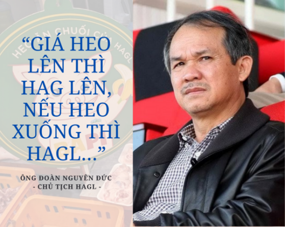 Giá heo chìm sâu, Hoàng Anh Gia Lai (HAG) báo lãi tháng 4/2023 giảm 68%