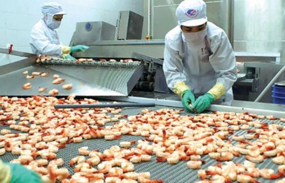 Lãi 'còi' 9 tháng, Thủy sản IDI muốn bán công ty con ngay tháng 12, cổ phiếu bật tăng mạnh