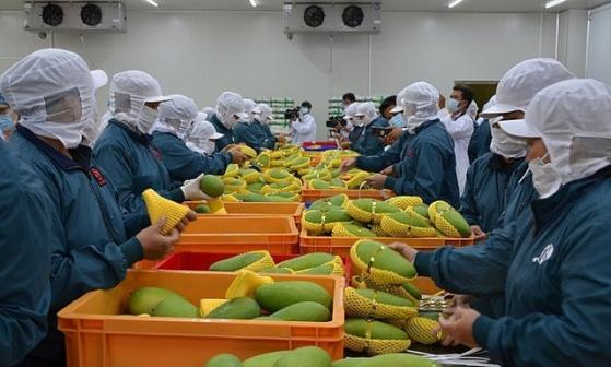 EU công bố một số quy định kiểm soát an toàn thực phẩm nhập khẩu