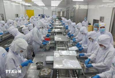 ASEAN và Ấn Độ cập nhật hợp tác thương mại trong tình hình mới
