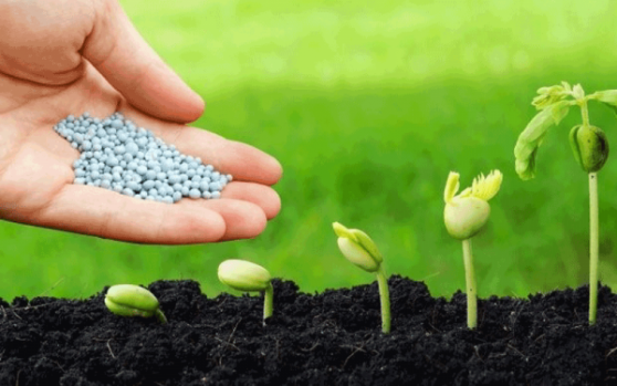 Nổ phát súng kết quả kinh doanh quý 2/2023 ngành phân bón, lợi nhuận một doanh nghiệp tăng trăm tỷ