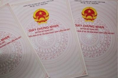 Cục Thuế TP HCM đã giải quyết xong hồ sơ nhà đất bị ách tắc