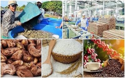 Những giải pháp để đẩy mạnh xuất khẩu hàng hóa Việt Nam ra thế giới 