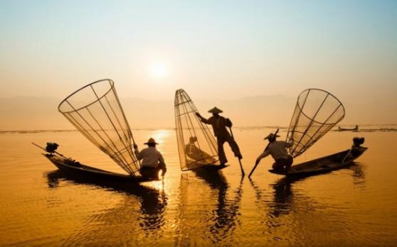 Xuất hiện dòng tiền lạ chủ động gom sàn hàng triệu cổ phiếu DLG (Đức Long Gia Lai)