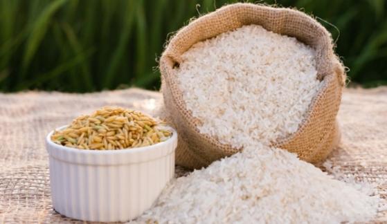 Giá lúa gạo hôm nay 20/2: Sôi động phiên đầu tuần