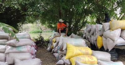 Một thị trường lớn của Việt Nam vừa chào mua thêm 500.000 tấn gạo