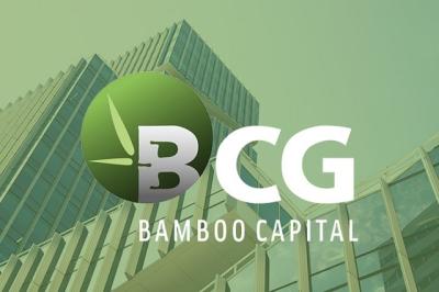 Cổ phiếu BCG đang được "giải cứu"?
