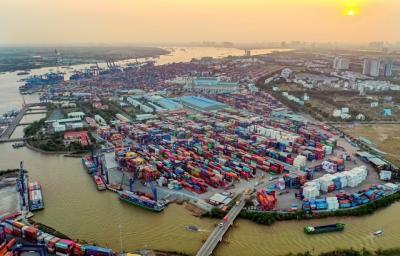 Giải pháp cho hàng hóa xuất nhập khẩu ùn tắc tại cảng Cát Lái