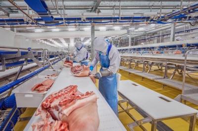 Các “ông lớn” ngành chăn nuôi khẳng định vị thế trên sân nhà