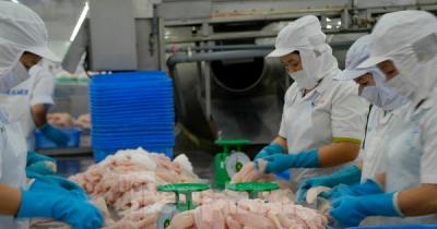 Thủy sản Việt Nam và những kỷ lục ấn tượng nhất từ trước tới nay
