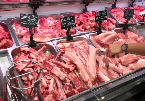 Giá heo hơi hôm nay 1/11: Giảm rải rác 1.000 đồng/kg