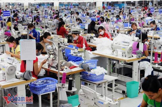 Doanh nghiệp quay về 'đánh chiếm' thị trường nội địa