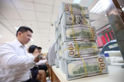 Moody's dự báo dự trữ ngoại hối của Việt Nam phục hồi cuối năm nay