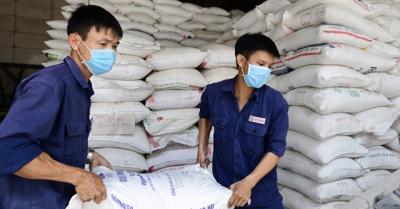 Một quốc gia bất ngờ chi tiền gấp 185 lần mua gạo Việt giá cao chót vót