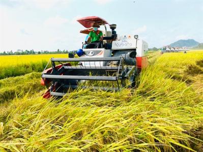 Doanh nghiệp giống cây trồng đề xuất "cơ chế riêng" về đất đai, tín dụng và chuyển đổi số