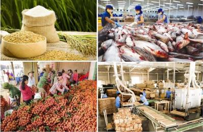 Triển khai chương trình tín dụng 100,000 tỷ đồng đối với lĩnh vực nông, lâm, thủy sản