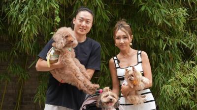 Trung Quốc có thể sẽ sớm có nhiều thú cưng hơn… trẻ con!
