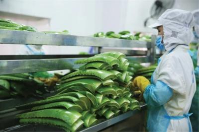 AIG muốn mua trọn lô hơn 7.1 triệu cp GCF giá thấp hơn thị trường