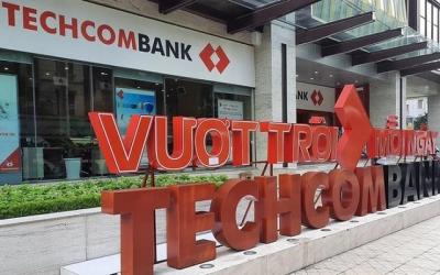 Hệ sinh thái doanh nghiệp tại Việt Nam – Nền tảng vững chắc cho kỷ nguyên vươn mình của dân tộc