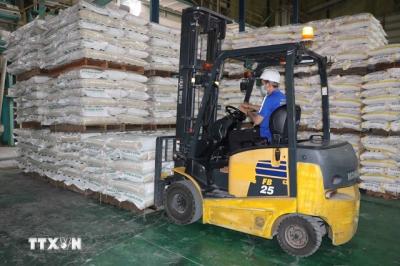 Việt Nam vẫn giữ ngôi đầu về xuất khẩu gạo vào Philippines