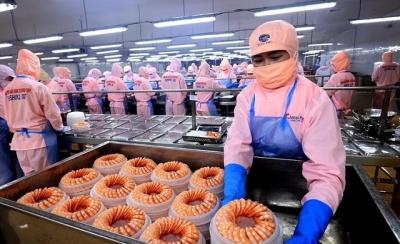 Xuất khẩu tôm cần được tạo động lực để tiếp tục tăng trưởng