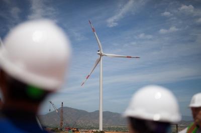 Tương lai nào cho các doanh nghiệp đầu tư điện gió?
