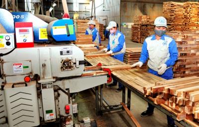 Ngành gỗ hướng đến mục tiêu xuất khẩu 14,5 tỷ USD